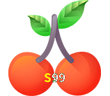  S99